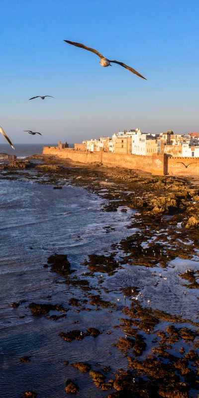 10 choses à savoir sur Essaouira