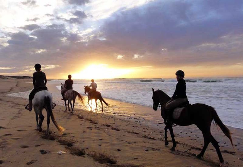 Cheval-hotel-miramar-essaouira-1667922279